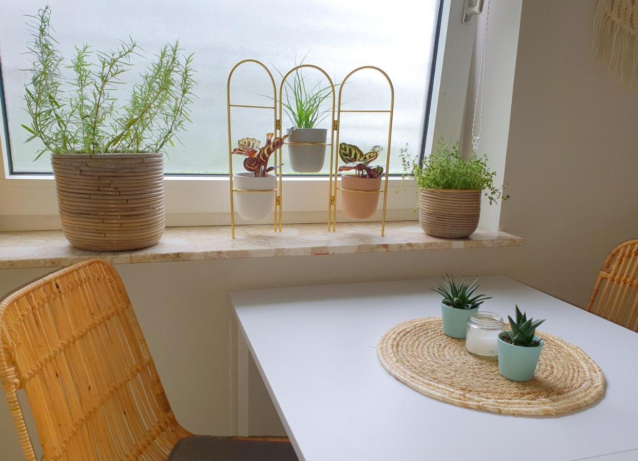 Boho Apartment أولدنبورغ المظهر الخارجي الصورة